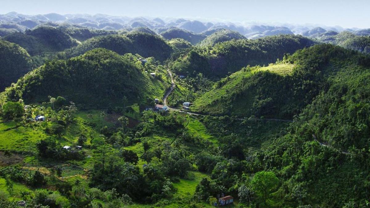 Why the Blue Mountains in Jamaica Feel Unreal (and Almost No One Tells You Why)
