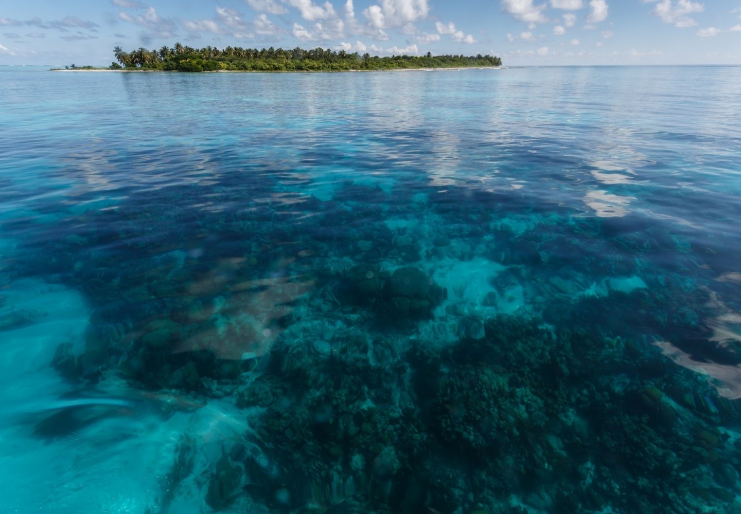 Hol Chan Marine Reserve: Dive Into Belize’s Hidden Coral Paradise